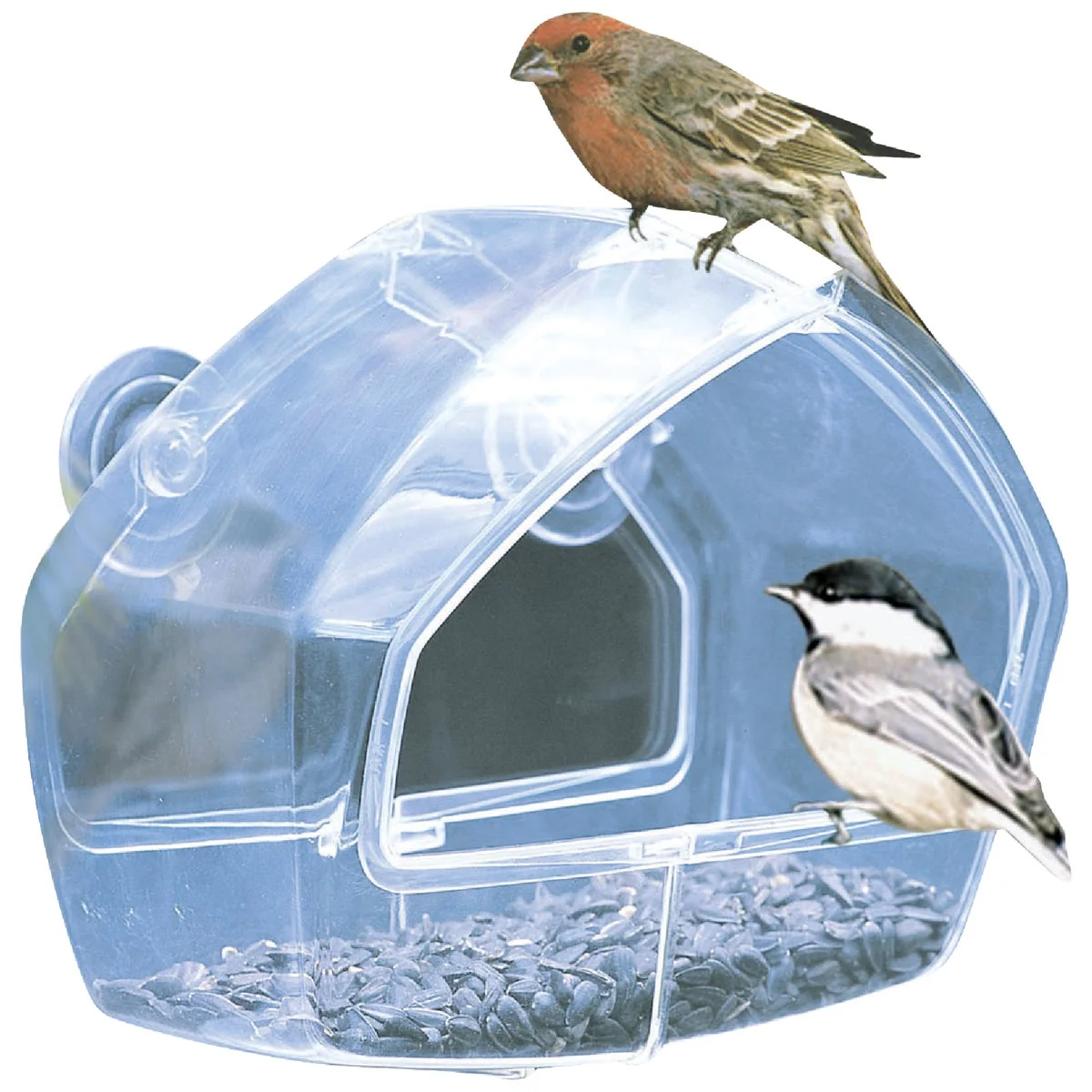 Safe Birdscapes Clear Plastic Window Bird Feeder Fast