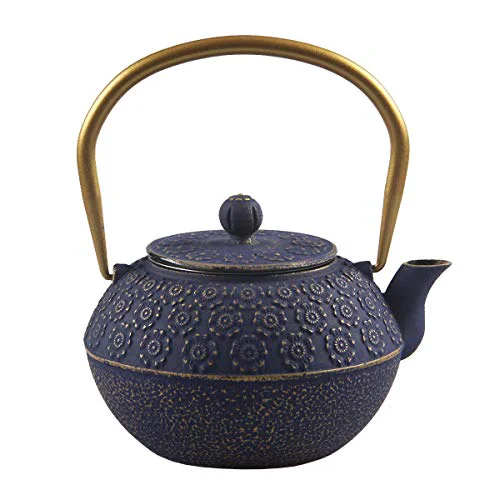 Natural Teapot Cast Iron Tea Kettle for Stovetop Safe Coated with Enameled Interior Powerful