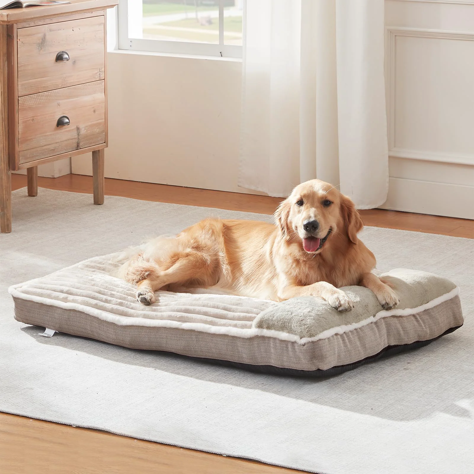 Lightweight WindRACING XXL Beige Dog Bed — 46x30x4 in for Large Dogs Sustainable