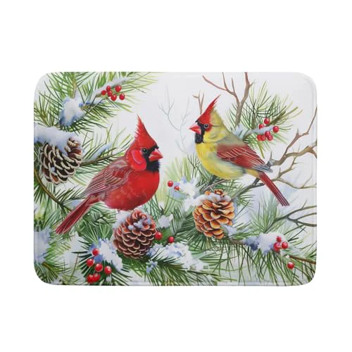 Eco-Friendly Red Birds Dish Drying Mat Organic