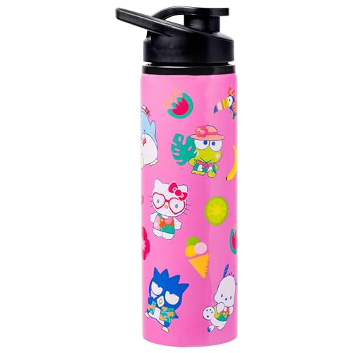 High-End Sanrio Hello Kitty and Friends Secure