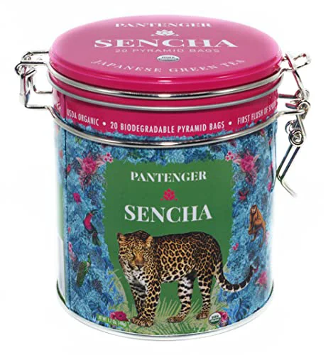 Recyclable Sencha Japanese Green Tea 20 Count Specialty