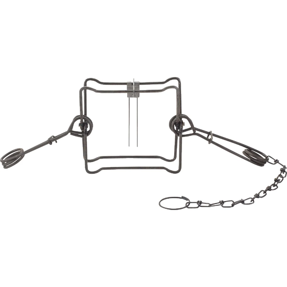 Versatile Duke Traps 7 In. Jaw Spread Steel Body Gripping Fisher Groundhog Raccoon Trap Prestigious