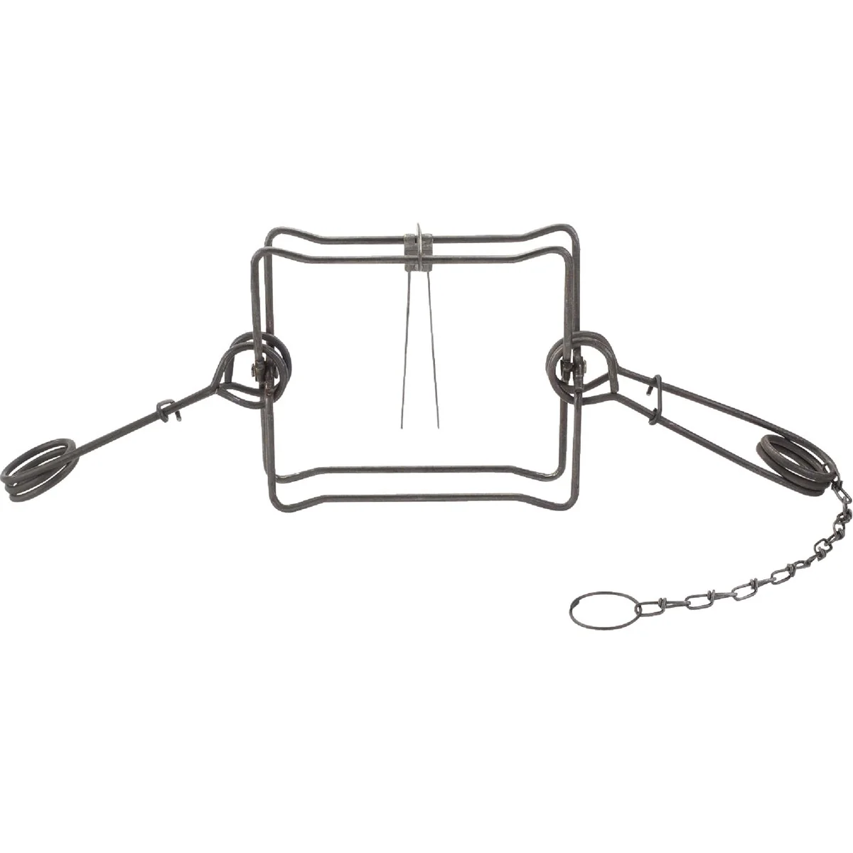 Smart Duke Traps 10 In. Jaw Spread Steel Body Gripping Beaver Bobcat Coyote Otter Trap Healthy