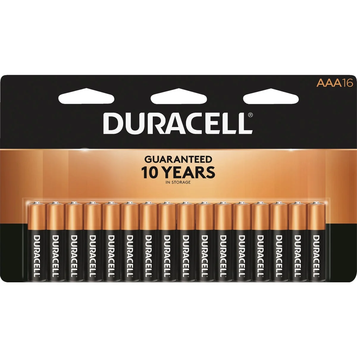 Dependable Duracell CopperTop AAA Alkaline Battery 16-Pack Crafted