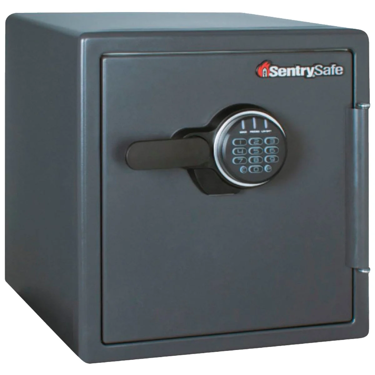 Sustainable Sentry Safe 1.23 Cu. Ft. Capacity Combination Fire-Safe Floor Safe