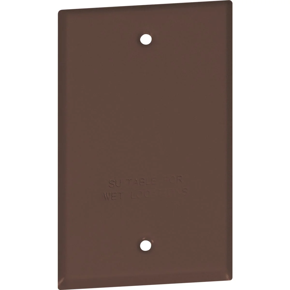 Comfortable Southwire Single Gang Bronze Weatherproof Blank Cover Refined