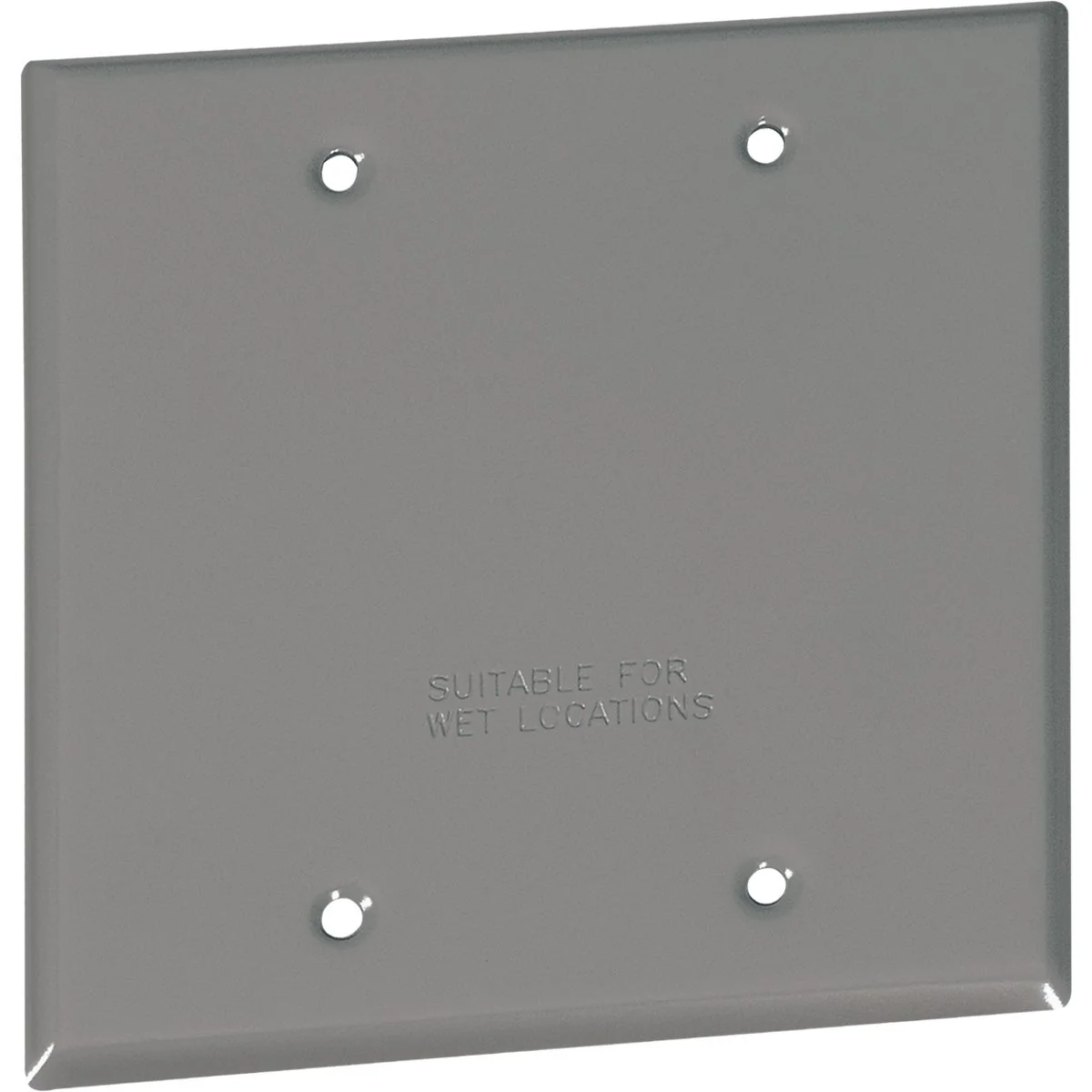 Fast Southwire Double Gang Gray Weatherproof Blank Cover Artisan