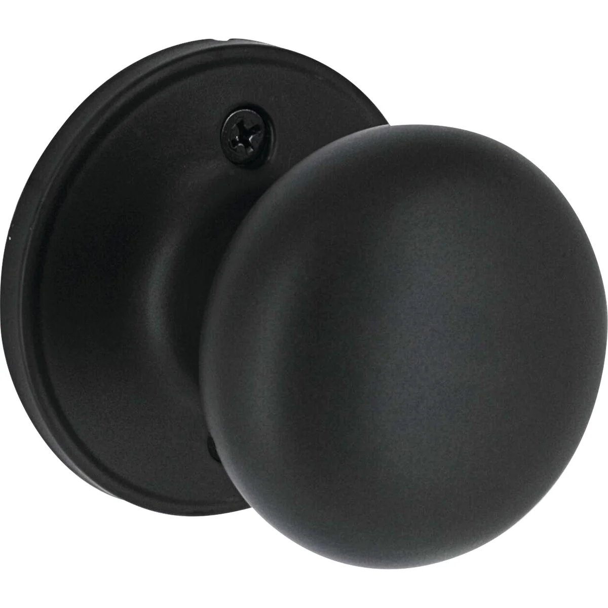 Expertly Made Steel Pro Matte Black CP Half Round Dummy Lock Specialty
