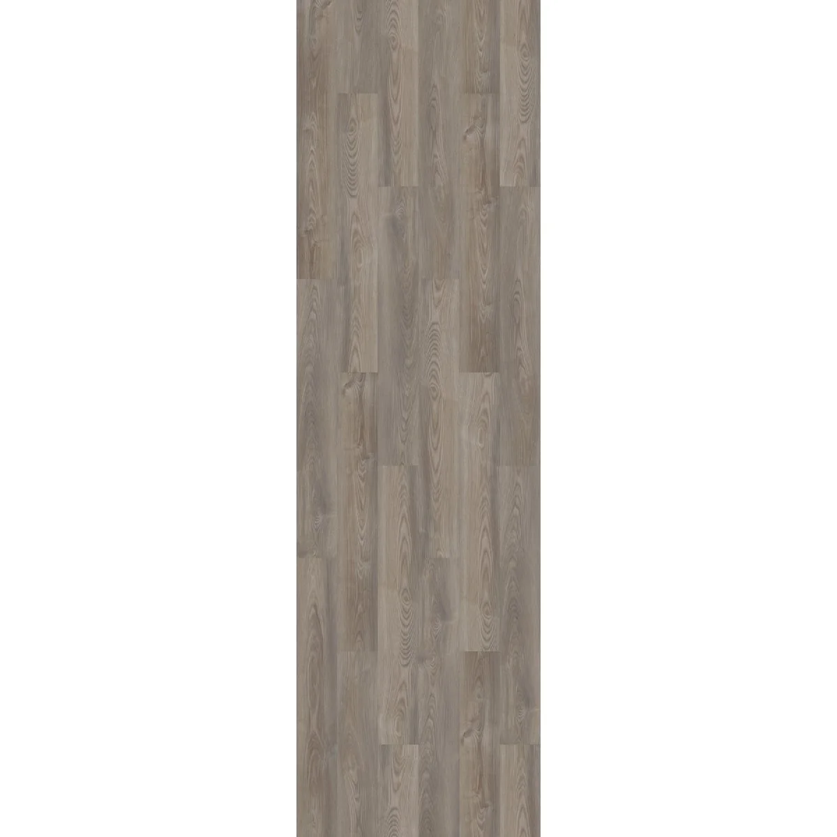 Advanced Shaw Floorte Pro Anvil 20 Grey Chestnut 7 In. W x 48 In. L Vinyl Rigid Core Floor Plank 27.73 Sq. Ft. Case Top-Quality