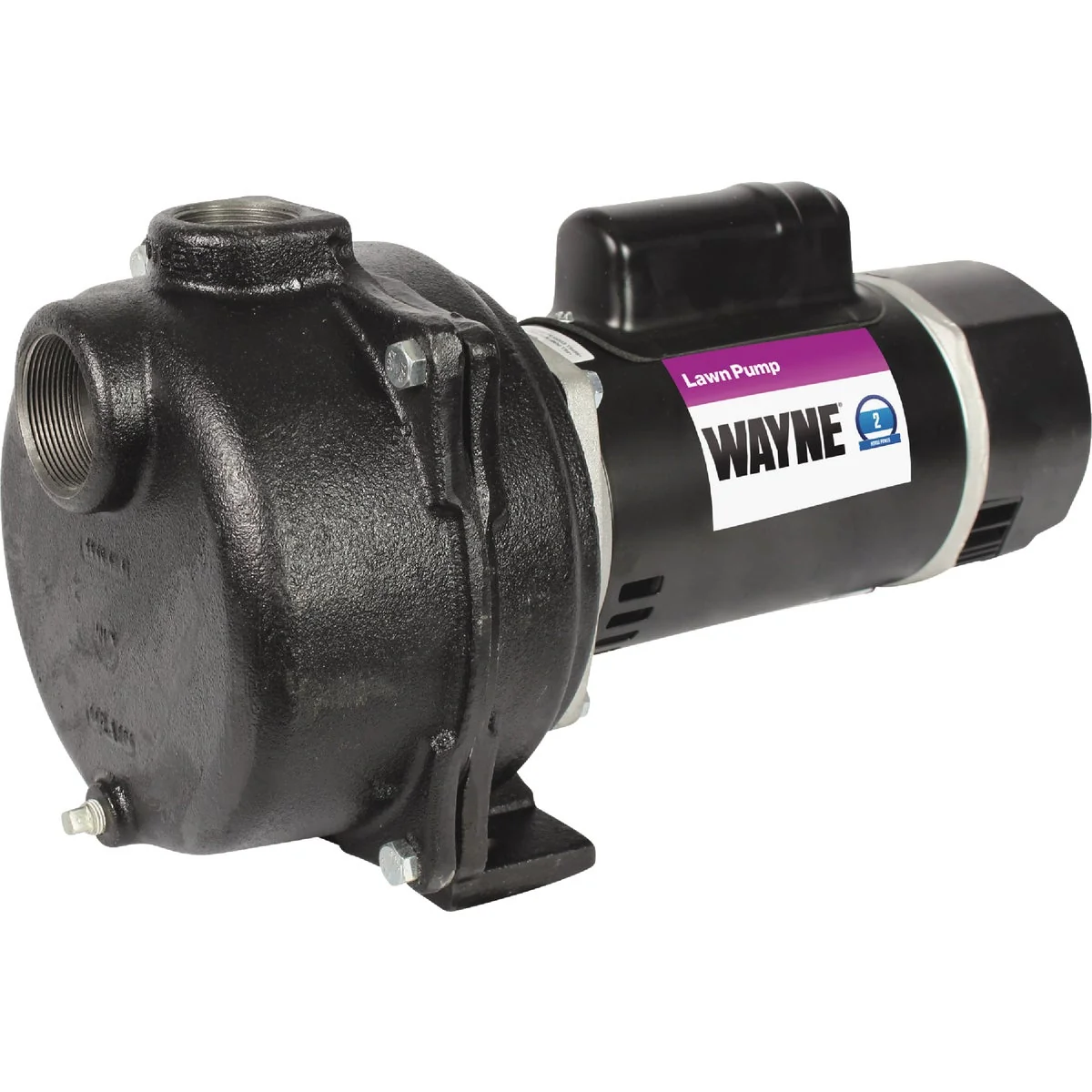 Functional Wayne 2 HP Permanent Lawn Sprinkling Pump Practical
