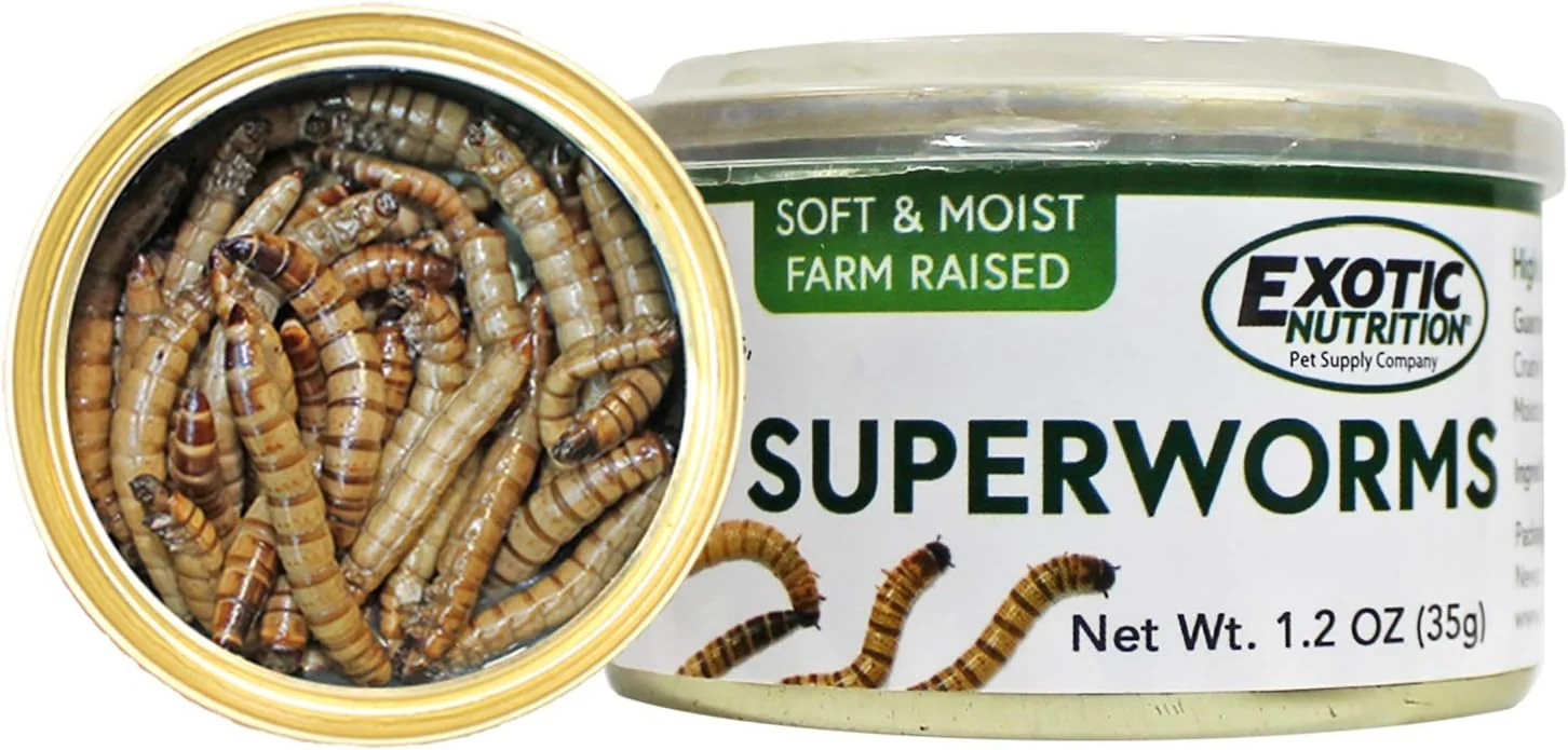 Fine Crafted Canned Superworms 1.2 oz. - Healthy High Protein Insect Treat - Hedgehogs Sugar Gliders Reptiles Wild Birds Chickens Lizards Bearded Dragons Skunks Opossums Fish Amphibians Turtles Practical