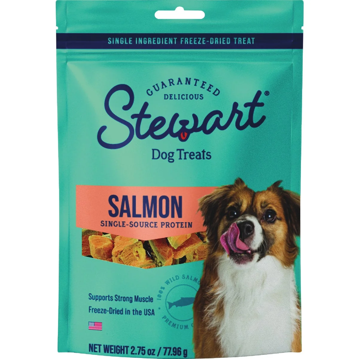 Healthy Stewart 2.75 Oz. Wild Salmon Dog Treat Fine