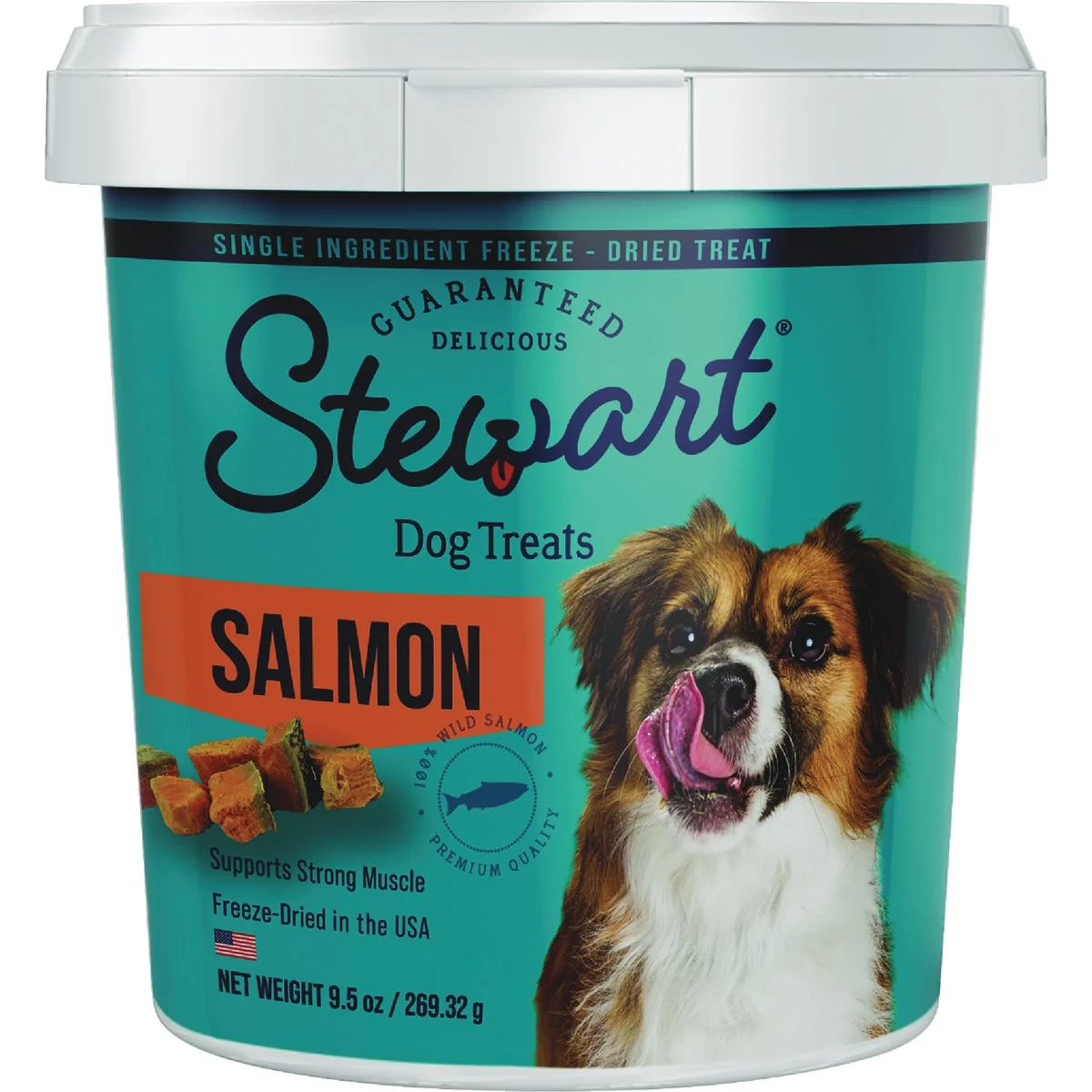 Healthy Stewart 9.5 Oz. Wild Salmon Dog Treat Flexible