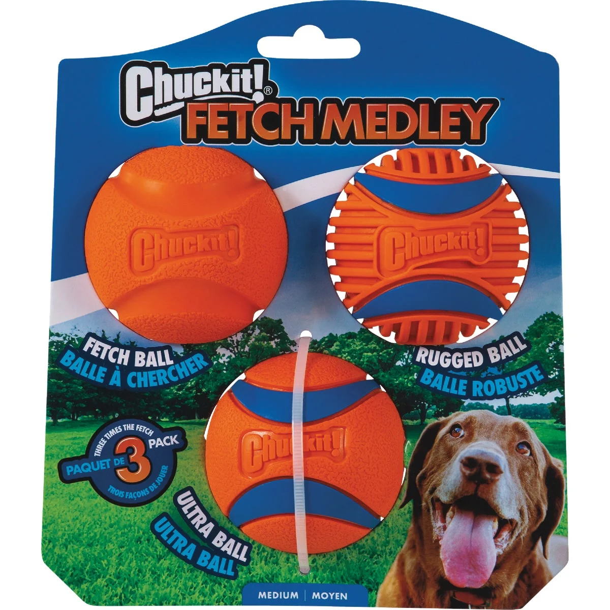 Trusted Chuckit Fetch Medley Medium Ball 3-Pack Durable