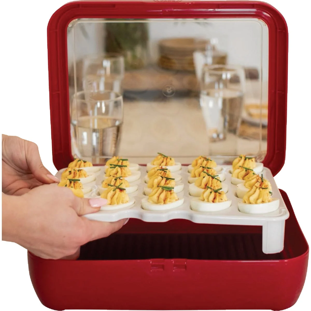 Contemporary Fancy Panz White Deviled Egg Trayz Insert Clean