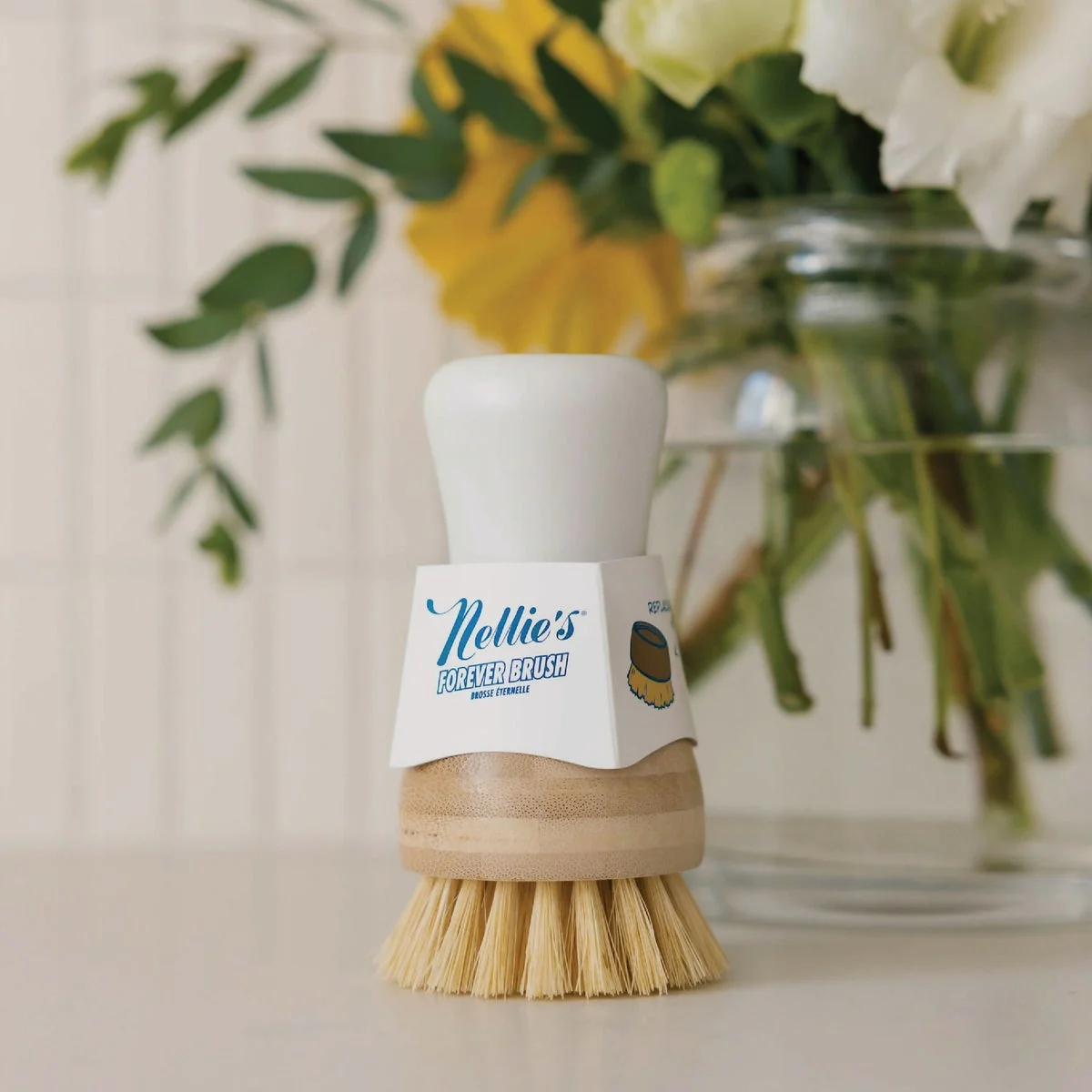 Effective Nellie's Dishwashing Brush Relaxed