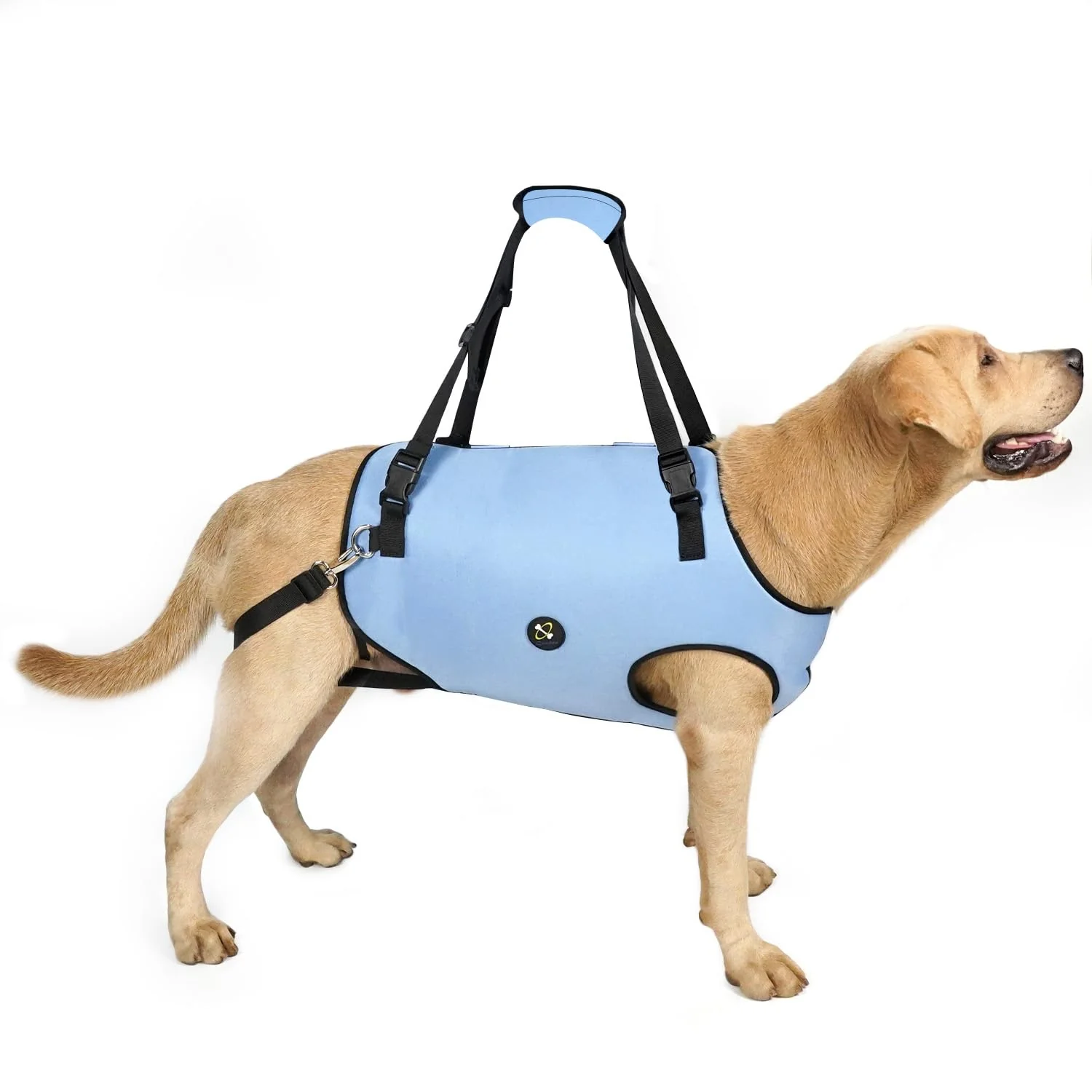 Coodeo Dog Lift Harness - Adjustable Breathable Support for Aging Disabled Dogs Blue High-Quality
