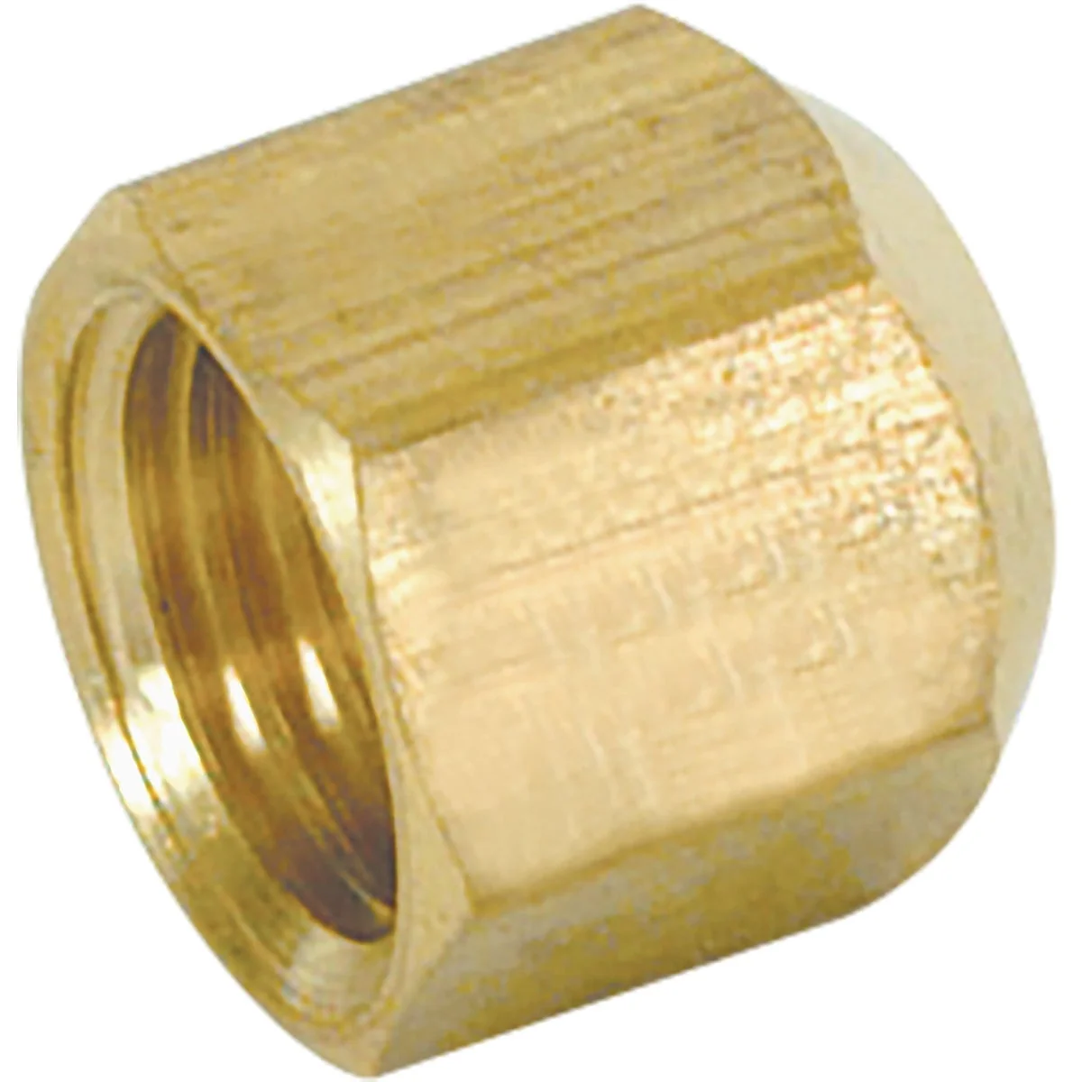 Premium Material Eastman 15 16 In. Female Thread Gas Flare Cap Top-Quality