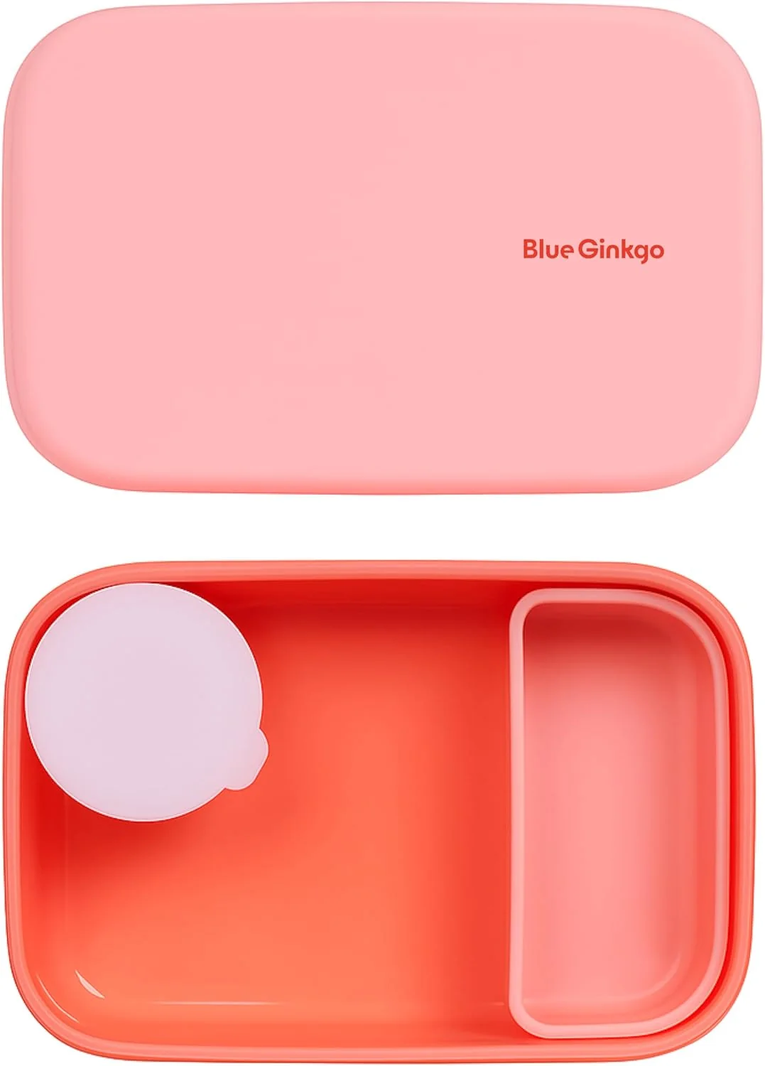 Optimized Blue Ginkgo Silicone Lunch Box Set – Durable Heavy-Duty Silicone Bento Box Microwave zer Dishwasher Safe – Airtight BPA Made in Korea Authentic