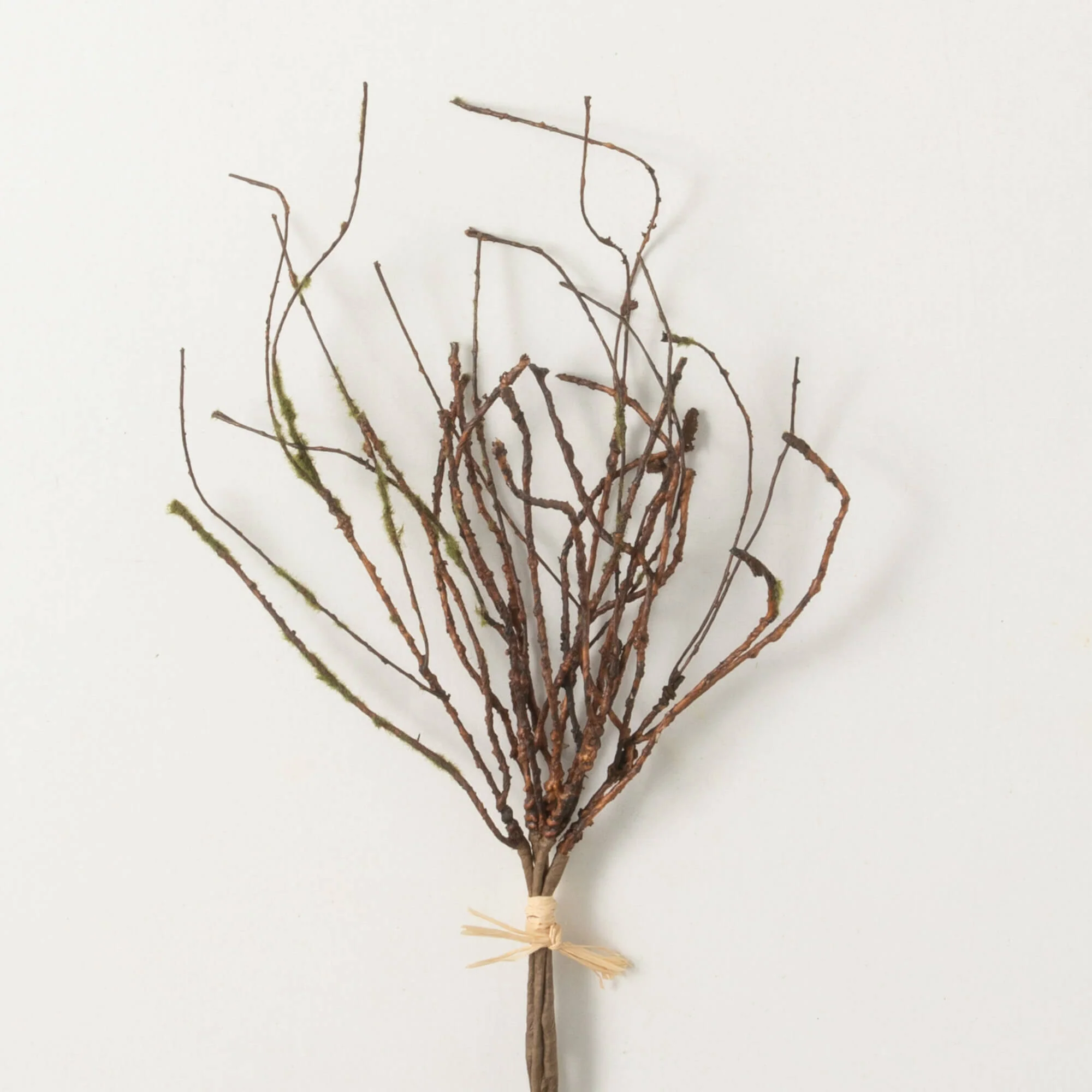 Exclusive Budding Twig Bush Pick Effective