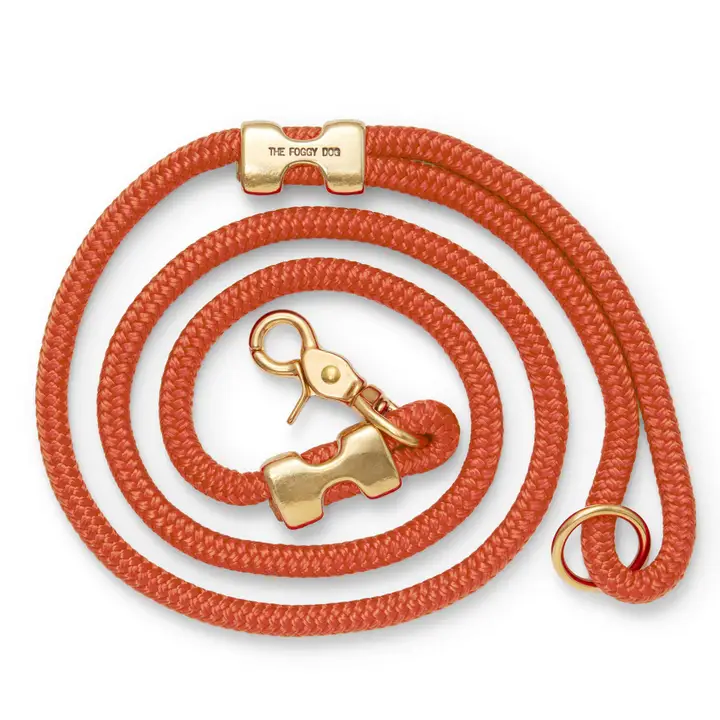 Modern Cider Marine Rope Dog Leash 5 Foot Elegant