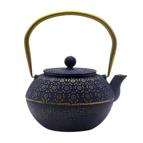 Comfortable 33.8oz Small Cast Iron Tea Kettle for Stovetop High-End