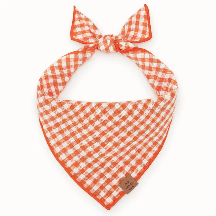 Sustainable Cider Gingham Tie-On Dog Bandana Versatile
