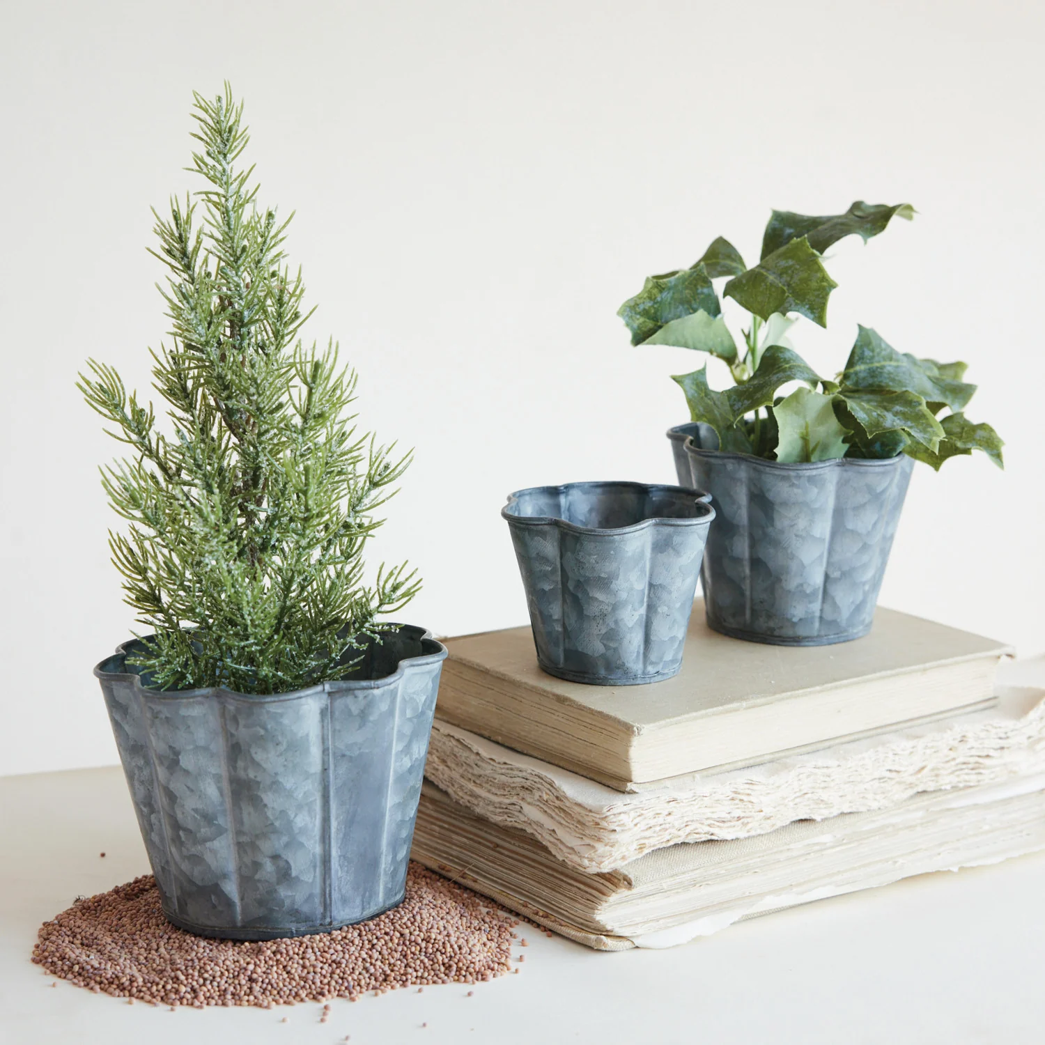 Trendy Galvanized Metal Scalloped Planter Reusable