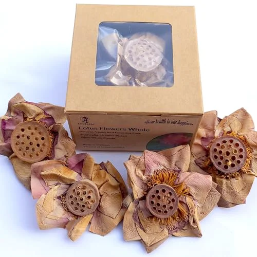Prestigious Lotus Flower Tea Bloom Flowering Teas 4 Count Luxury