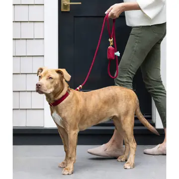 Prestigious Wine Waxed Canvas Dog Poop Bag Dispenser Unique
