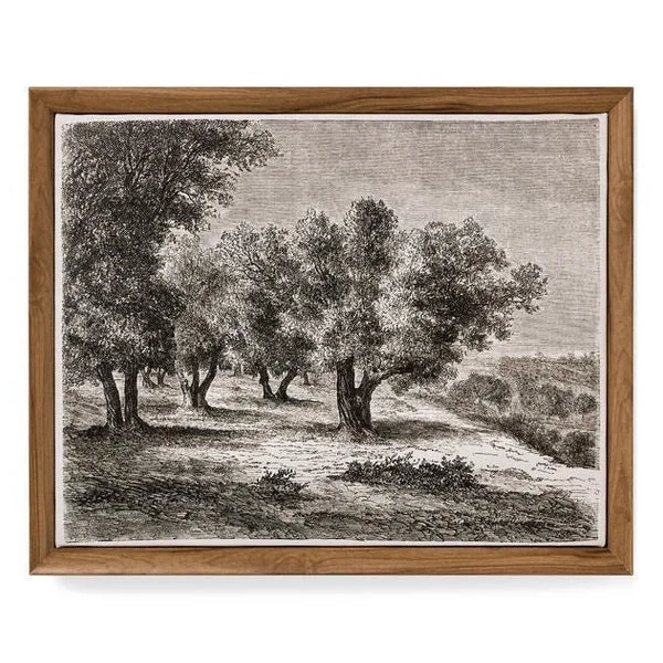 Clean WALL ART FRAMED CANVAS PRINT OLIVE TREES MULTI Relaxed