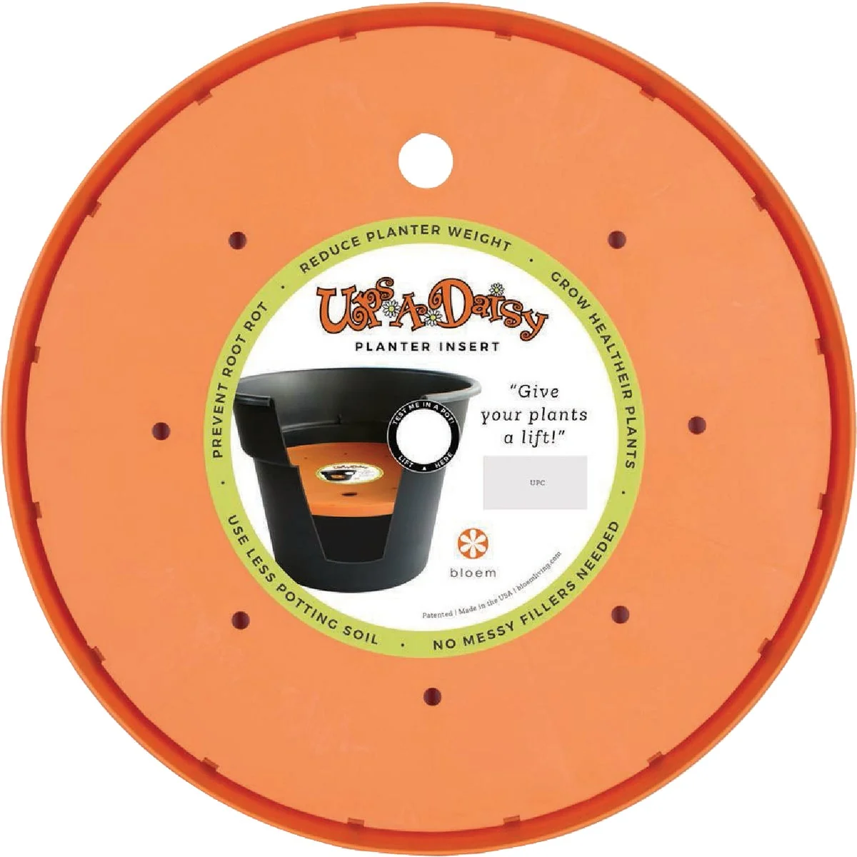 Fast Bloem Ups-A-Daisy 10 In. Round Planter Insert 6-Pack Healthy