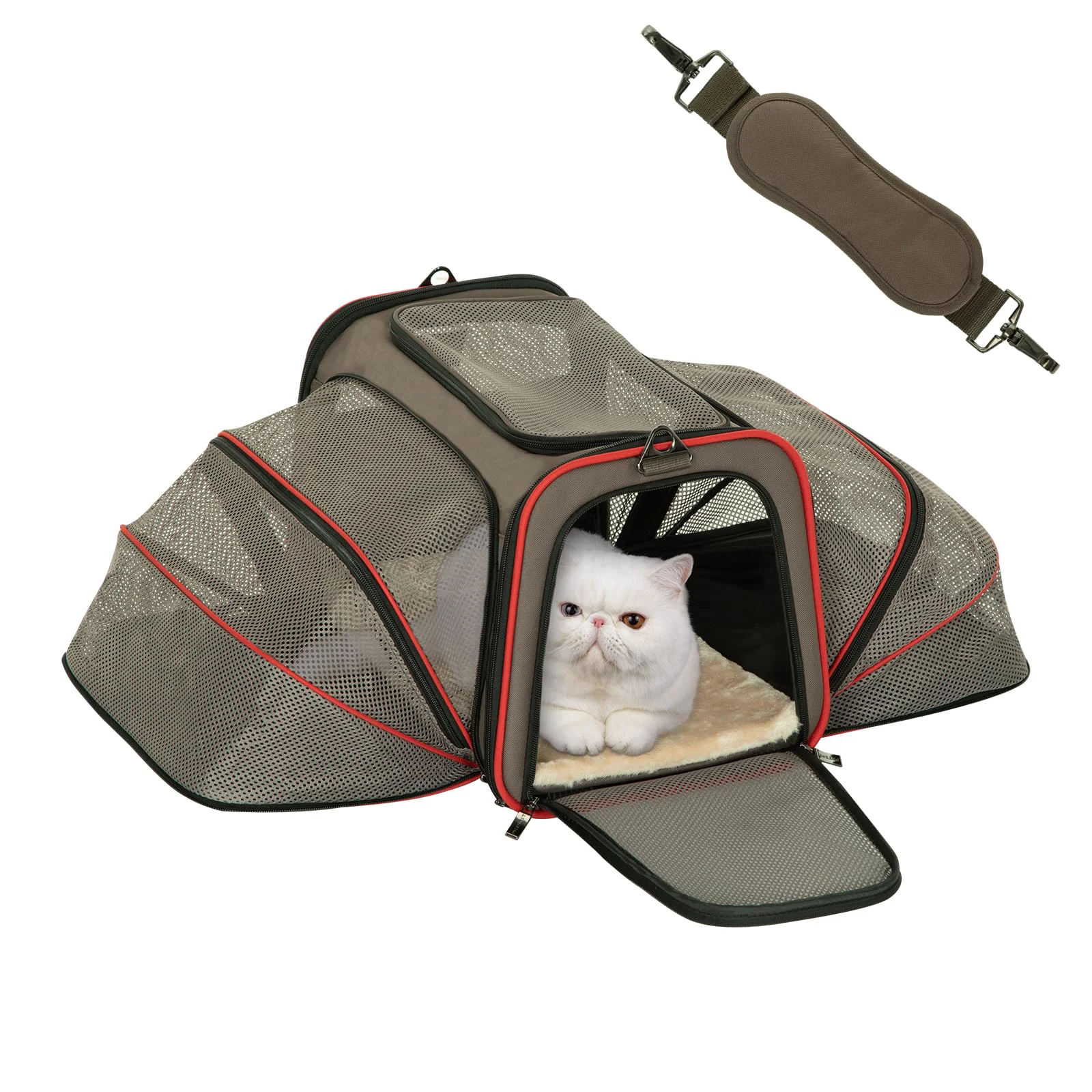 Dependable Petsfit Airline Expandable Large Cat Carrier Small Dog Carrier – 17 x 11 x 11 Collapsible Portable Exclusive
