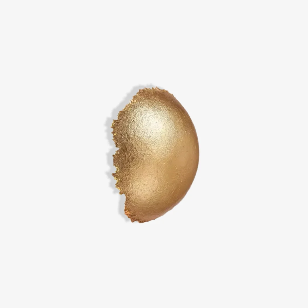 Modern Gouden Nest wandlamp Top-Quality