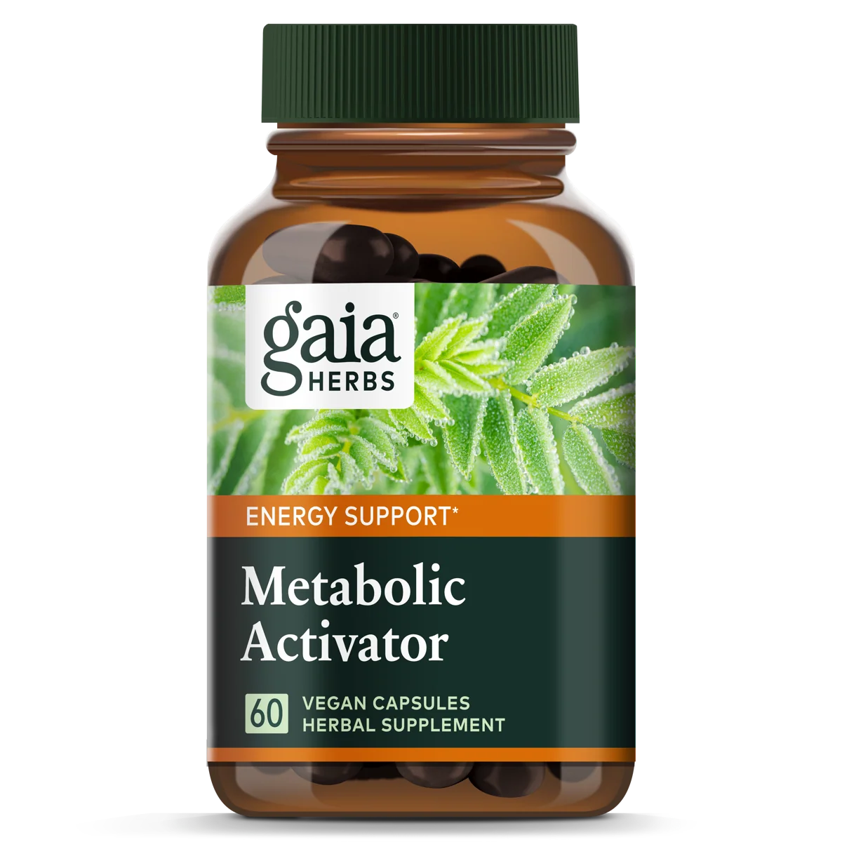 Minimalist Gaia Herbs Metabolic Activator LP Capsules Expertly Made
