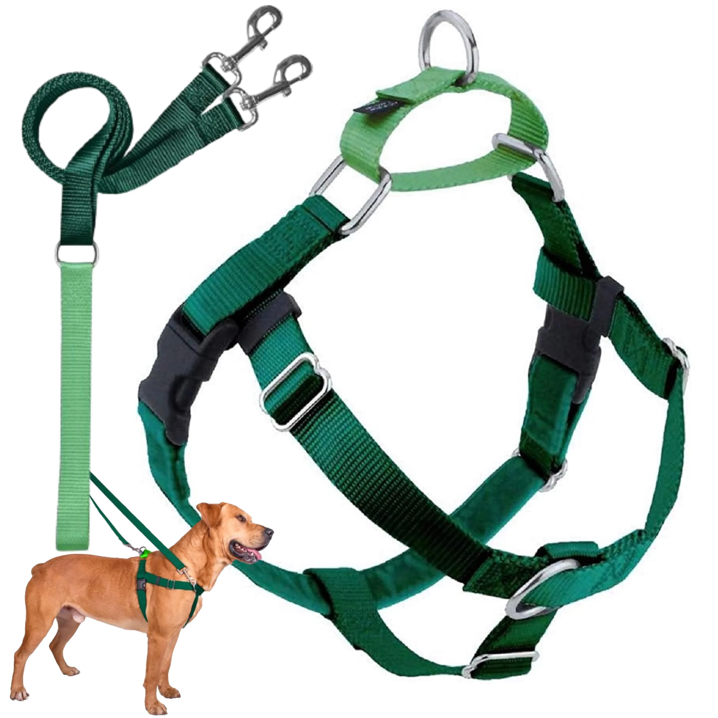 Specialty 2 Hounds Design dom No-Pull Harness – Adjustable Front O-Ring Made in USA Kelly Green Recyclable