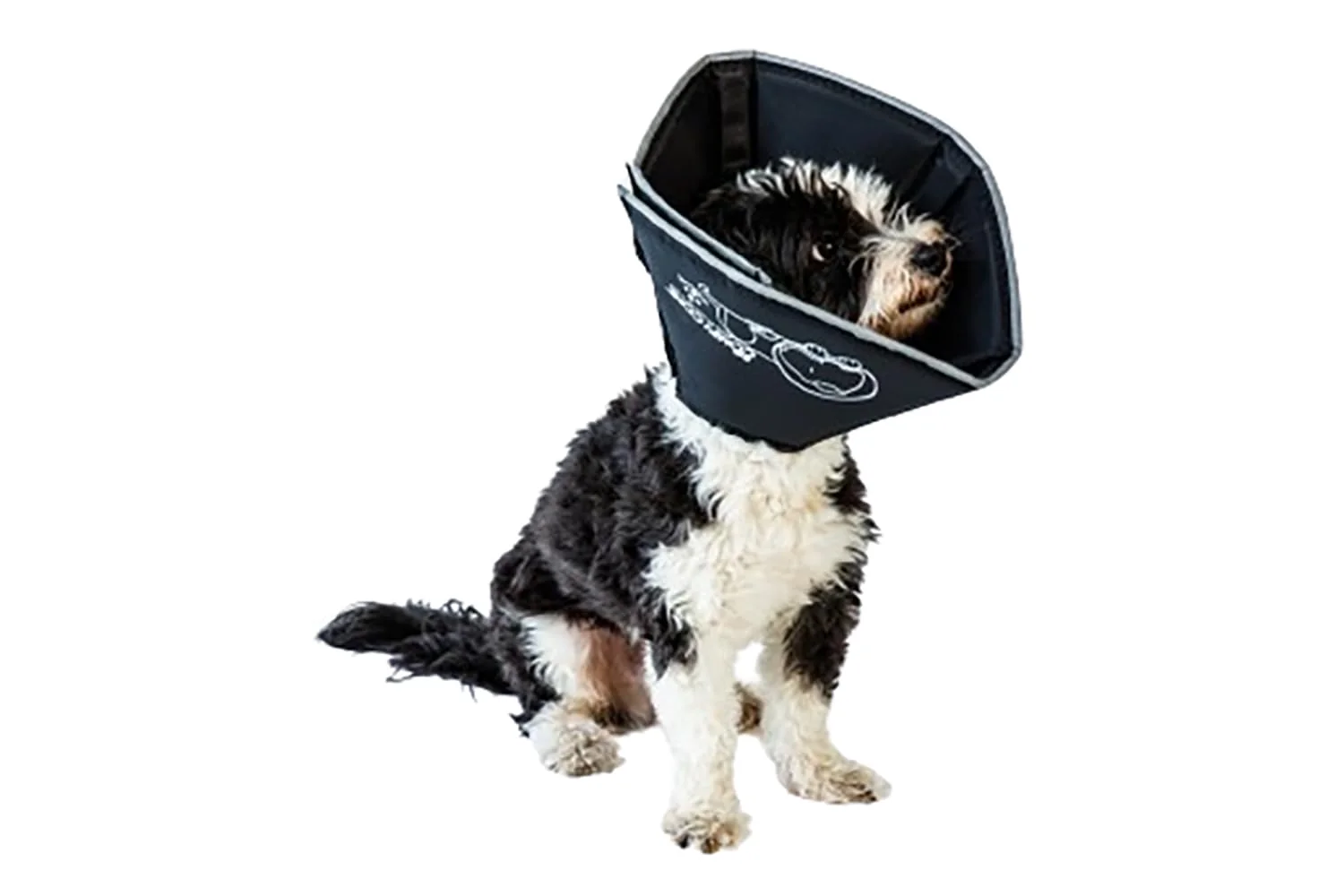 Original Design All Four Paws Comfy Cone – Soft Recovery Cone for Dogs Cats Large Black Healthy