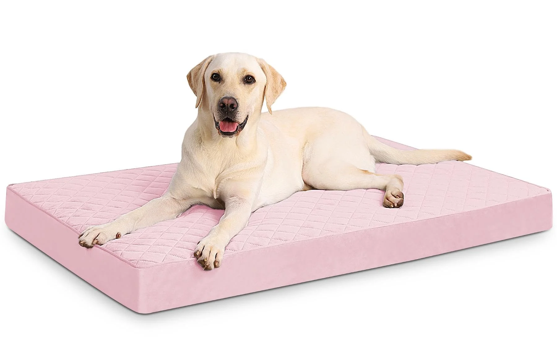Flexible NUPIDA Orthopedic XL Dog Bed – 41x27 Waterproof Removable Cover Non-Slip Base Pink Casual