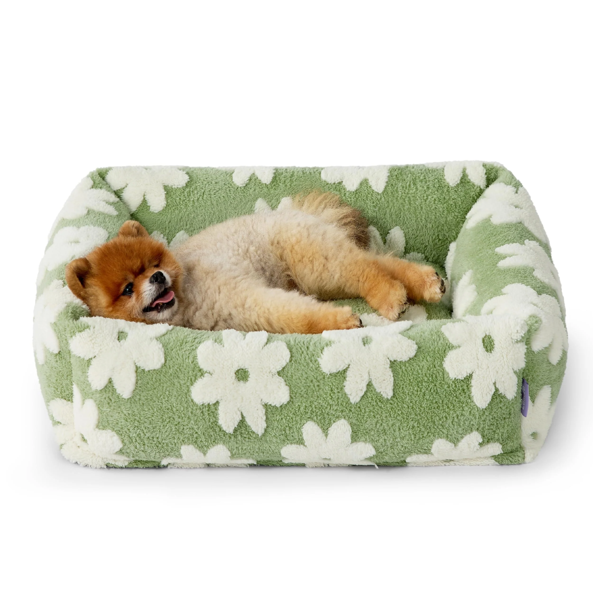 Exclusive LE SURE Cute Dog Bed for Small Dogs Washable Orthopedic Rectangle Bed 25x21x7in User-Friendly