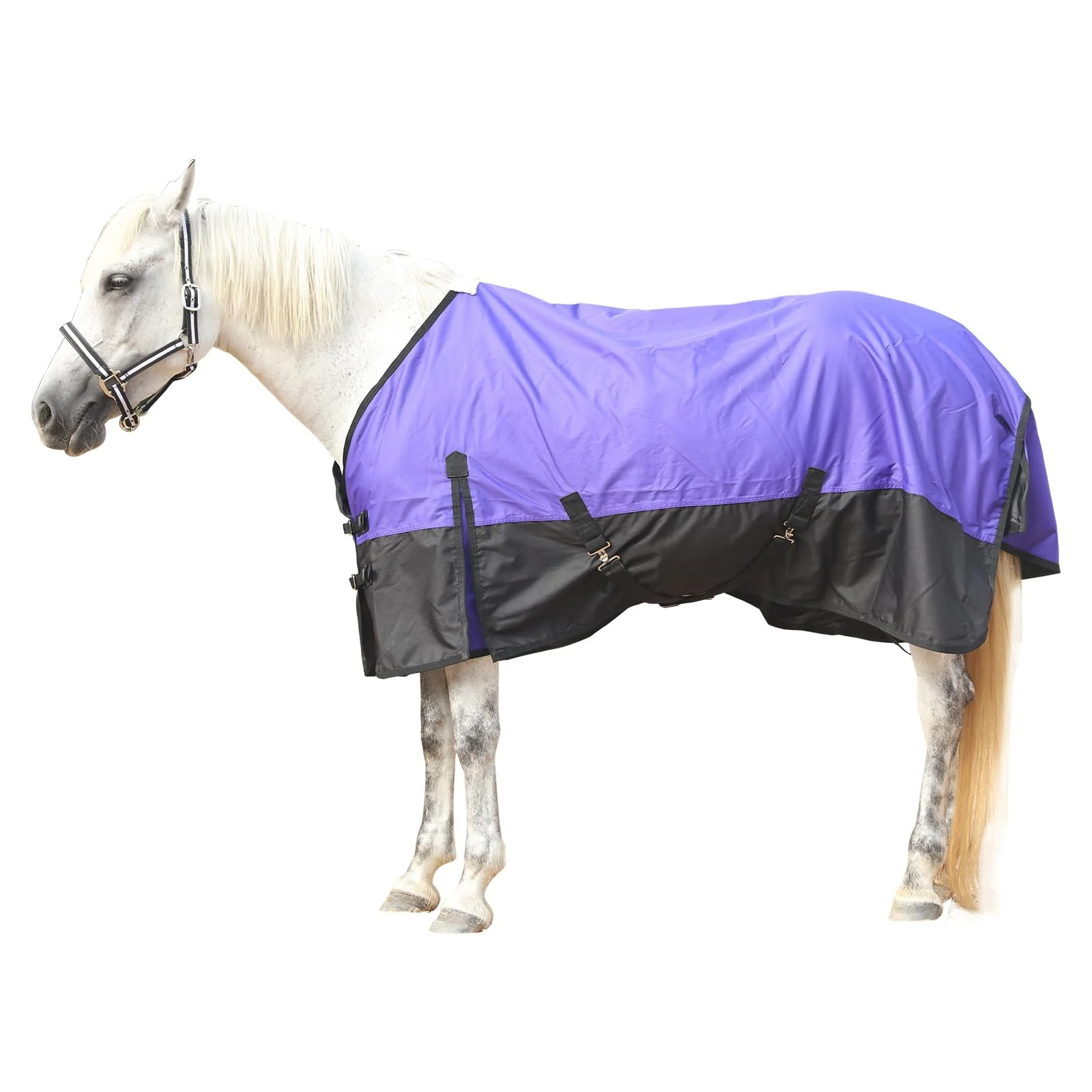 Exclusive Gallopoff 600D Rip-Stop Horse Rain Sheet – Lightweight Waterproof Turnout Blanket No Fill Violet Black 75 Certified
