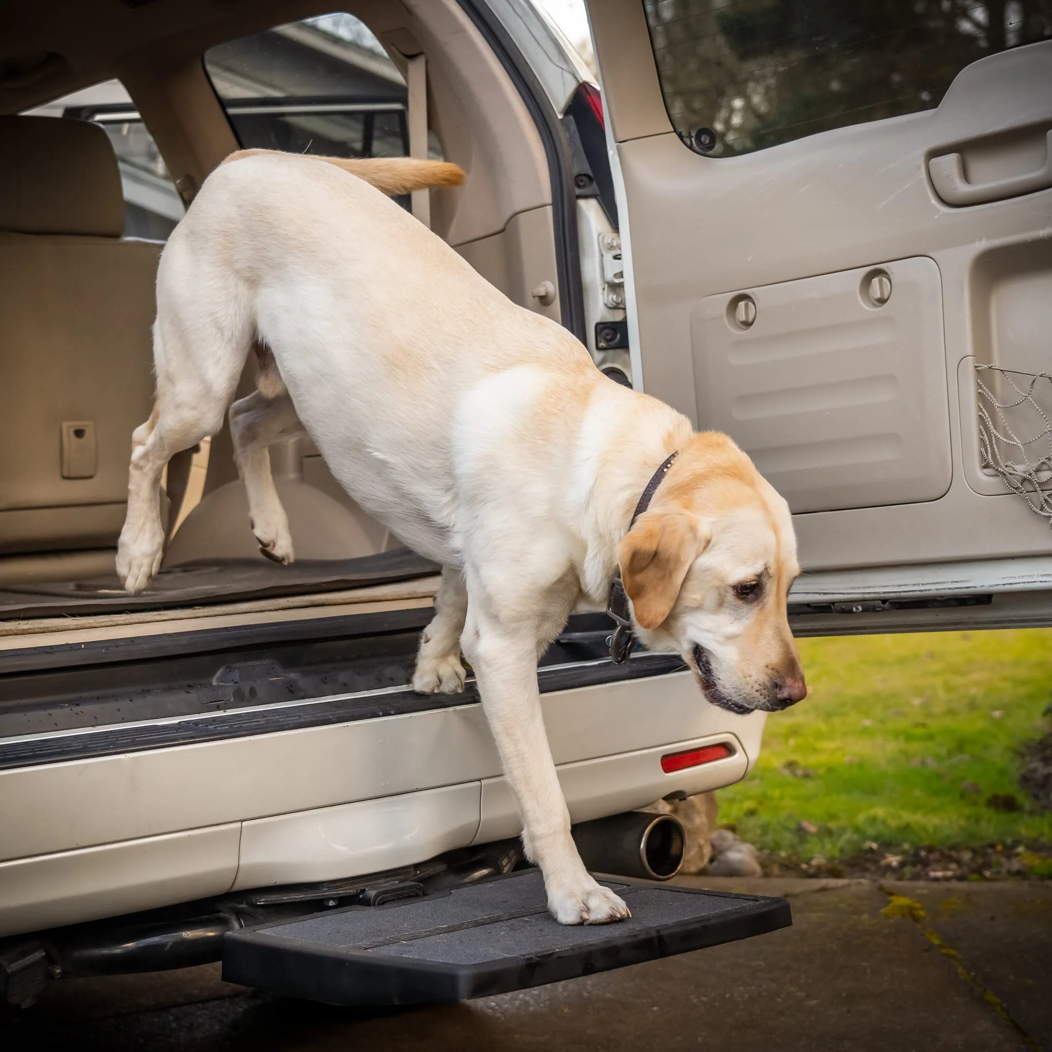Artisan Otto Step Pet Ramp — Portable Car Dog Ramp No Tools Made in USA Efficient