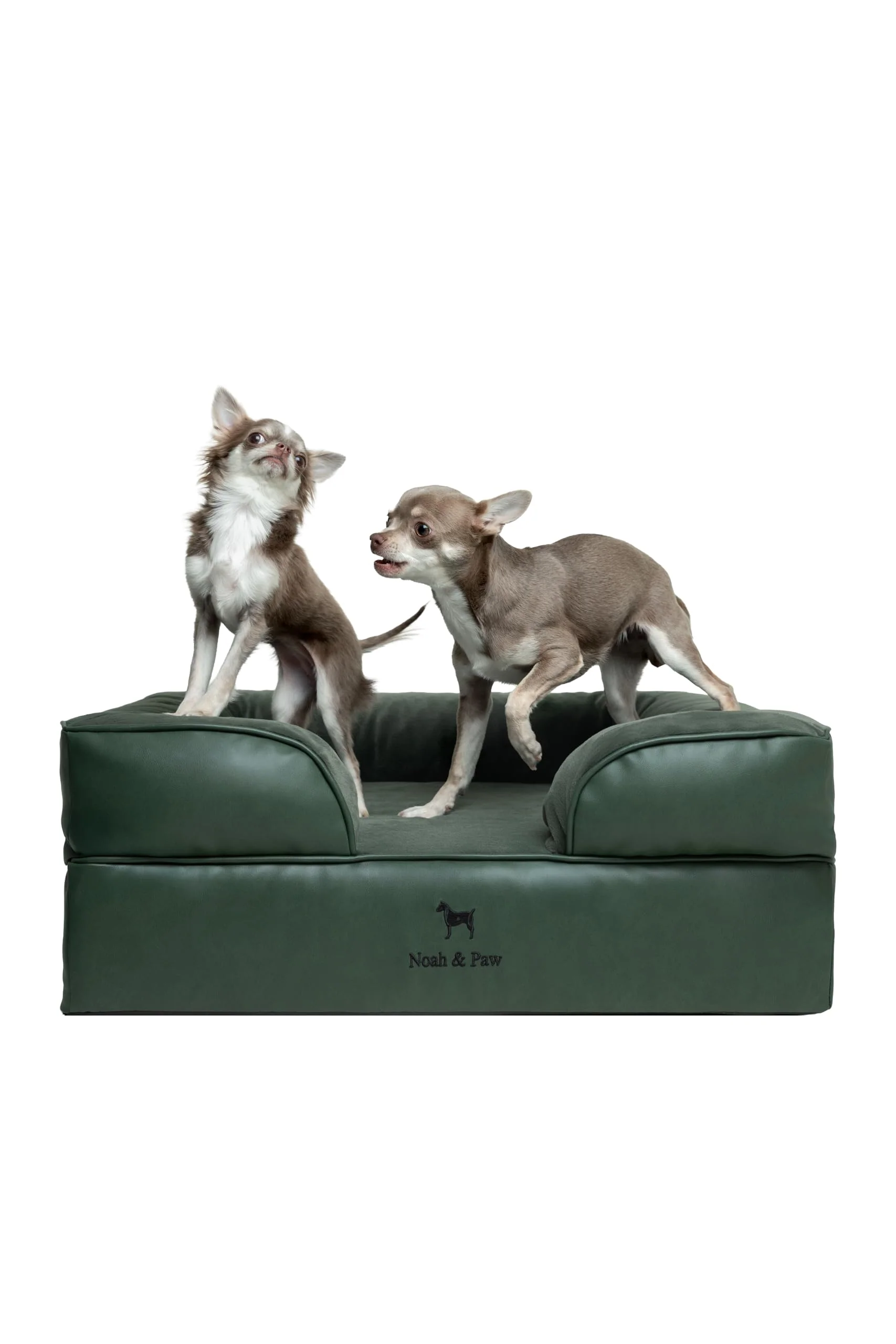 User-Friendly NOAH PAW Orthopedic Dog Bed 28x23x11 in Eggshell Memory Foam with Cooling Gel Waterproof Machine Washable Premium
