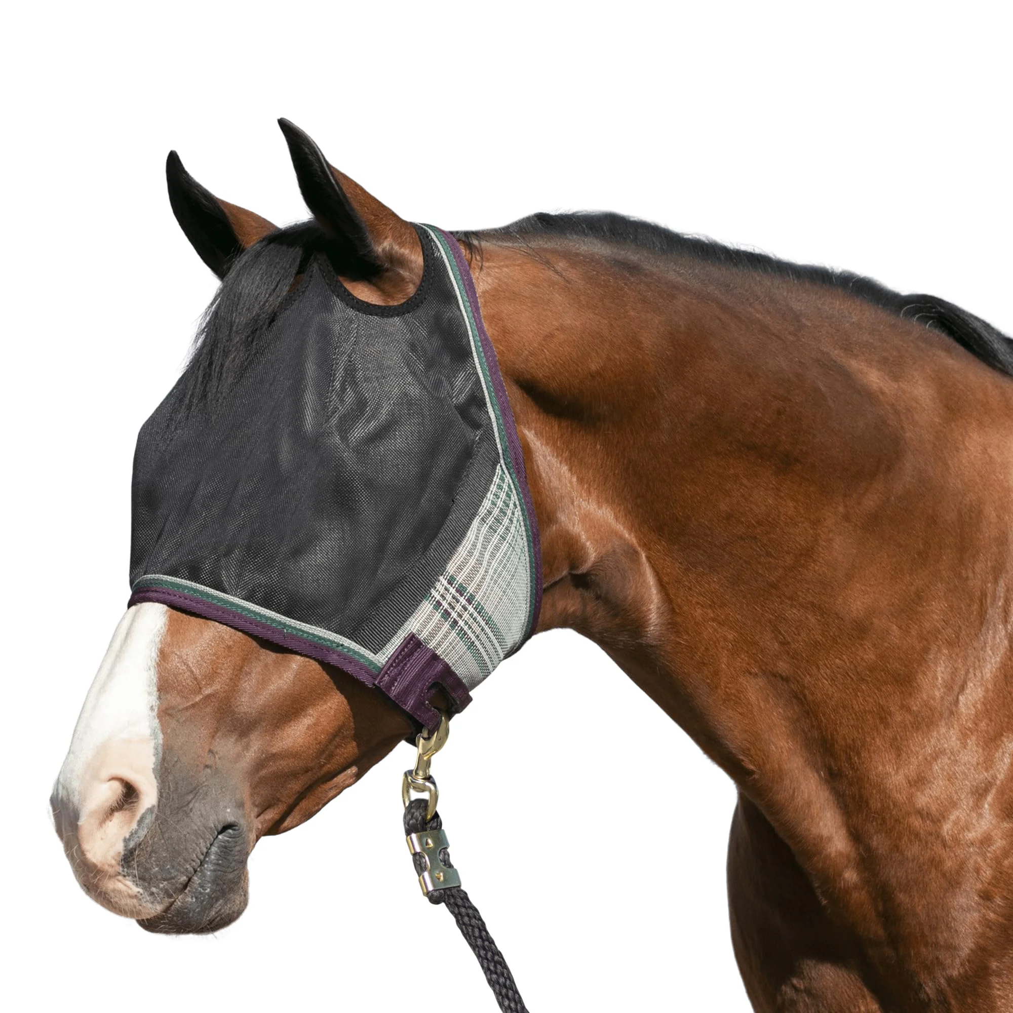 Eco-Friendly Kensington UViator CatchMask UV Fly Mask Imperial Jade VisaMastercardMaestroApple PayDiscoverShop Pay Expertly Made