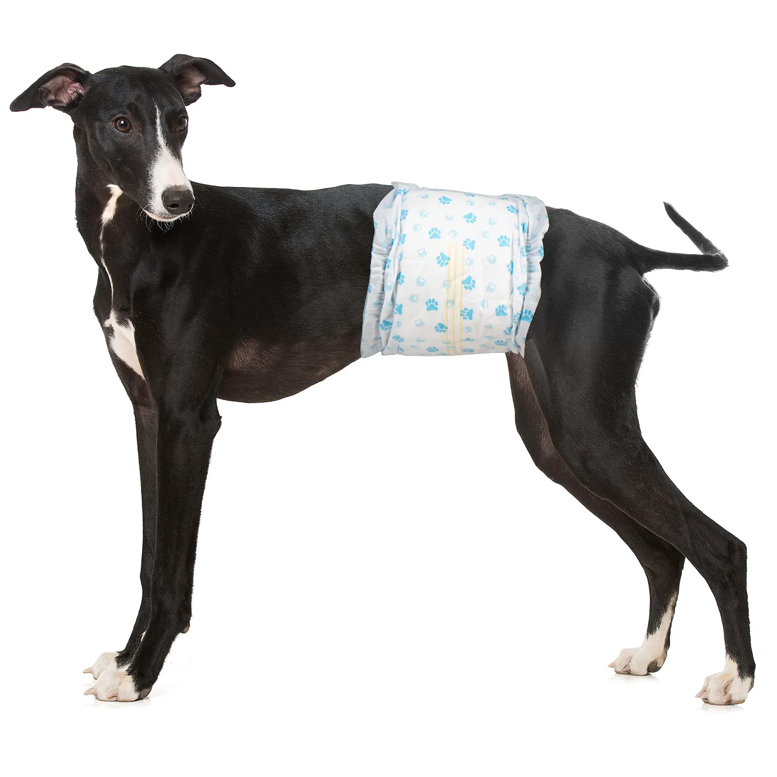 High-Quality Pet Soft Disposable Male Dog Wraps - Medium 18-25 in 48 Count with Wetness Indicator Trendy