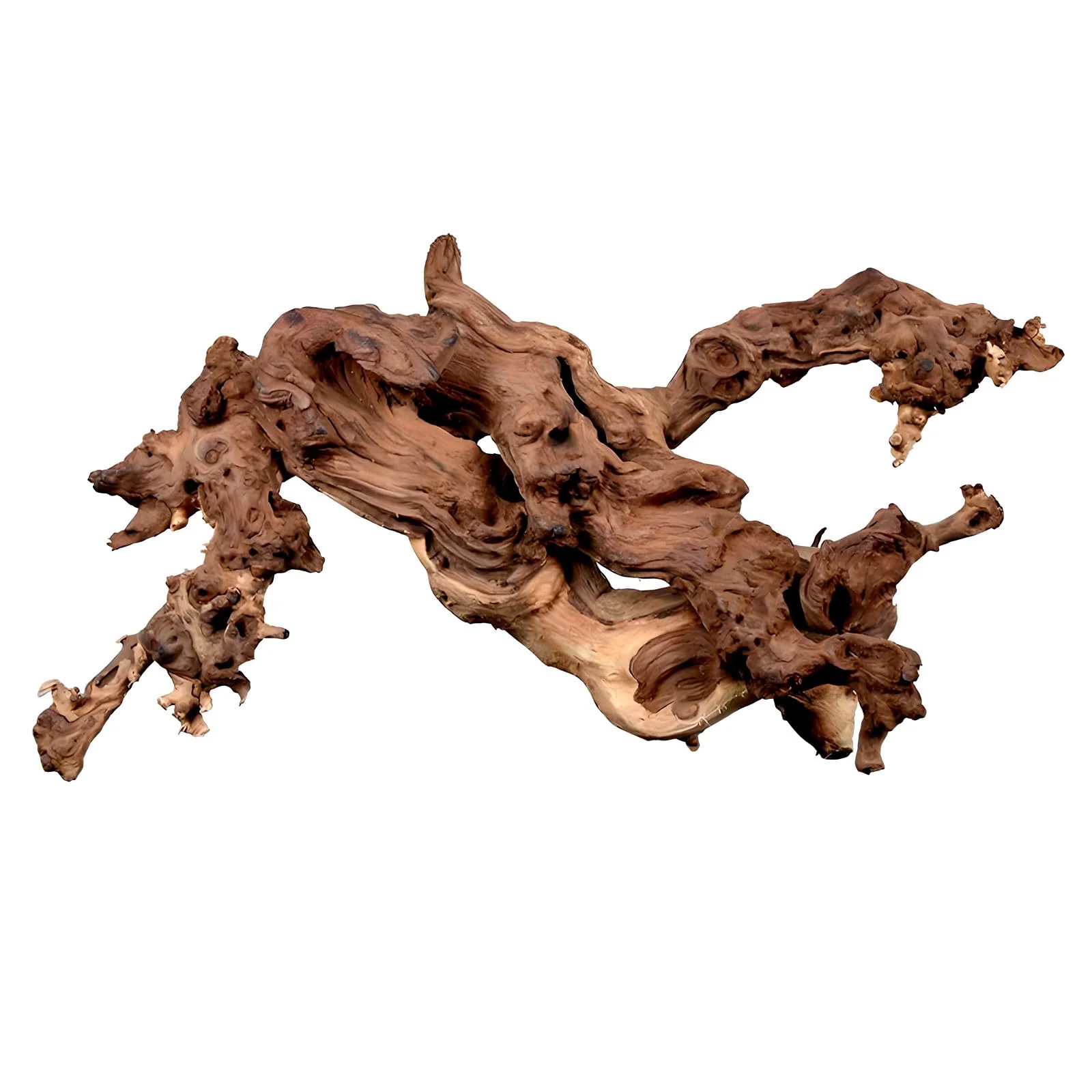 Enhanced Hygger CO2 Natural Driftwood 12-16-inch Coral Wood Decor for Aquarium Reptile Terrarium Refined