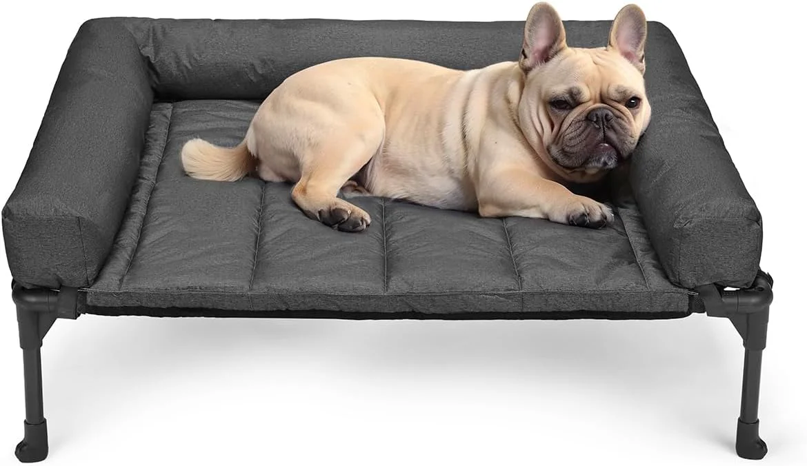 Secure Veehoo Cooling d Dog Bed Add Removable Waterproof Bolster Cushion Mat Raised Pet Cot with Breathable Teslin Mesh No-Slip Feet Dog Sofa Bed for Indoor Outdoor Medium Black CWC2331B Solid