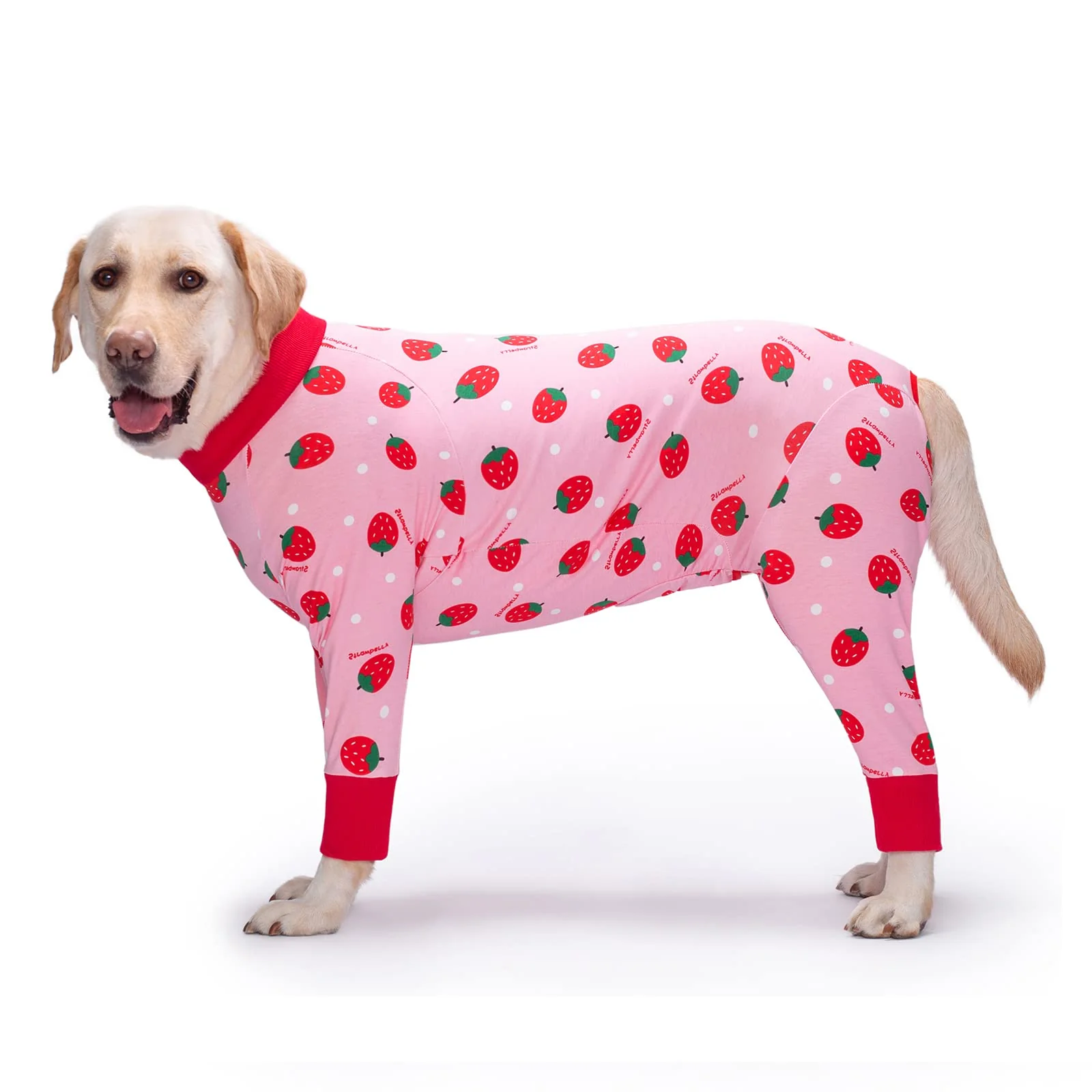 Original Design Yeapeeto Dog Recovery Suit After Surgery – Strawberry 3XL Cone for Post-Op Healing Unique