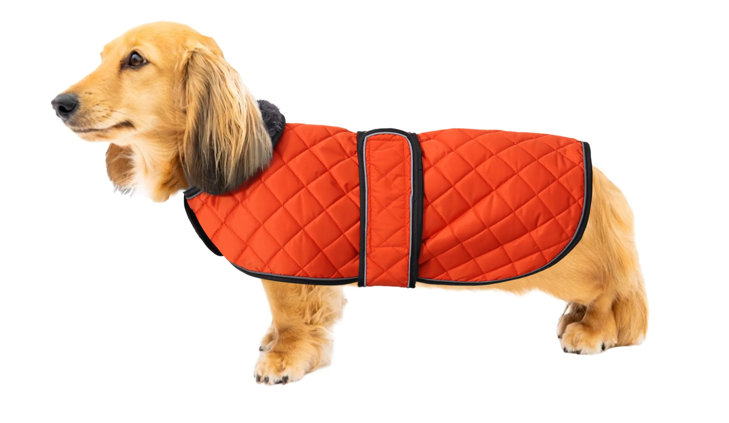Sustainable Geyecete Warm Thermal Dachshund Coat – Waterproof Winter Dog Coat with Fleece Lining Orange Reliable