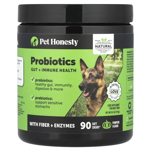 Fast Pet Honesty Probiotics for Dogs - Digestive Enzymes Gut Health Support Pumpkin 90 ct Premium Material